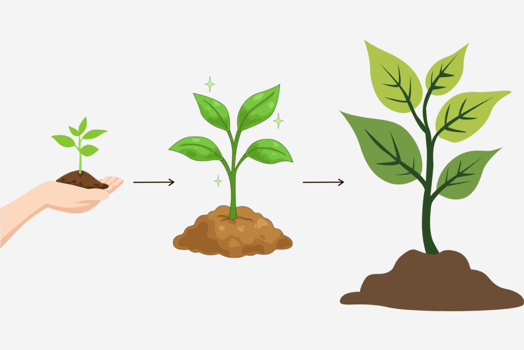 Start Small → Learn → Invest  How Much Does It Cost to Start a Blog in 2026?